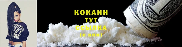 кокс Алексин