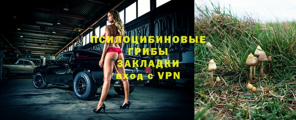 индика Алексеевка