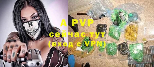 индика Алексеевка