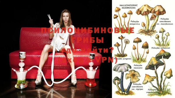 гидропоника Алзамай